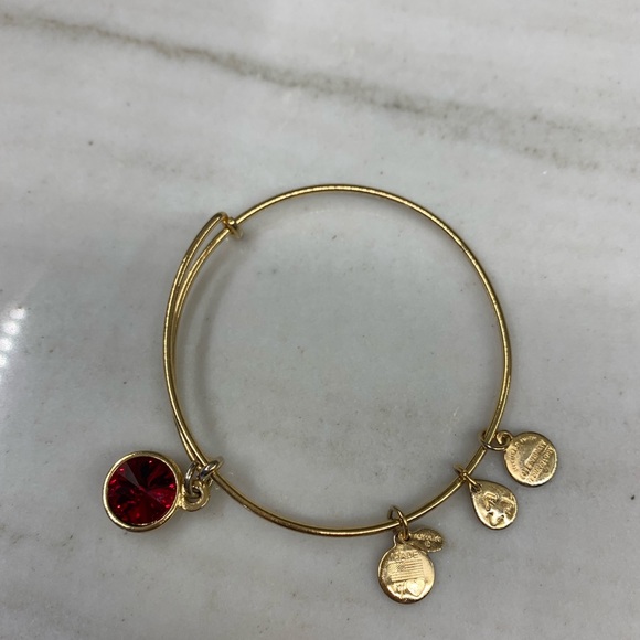 Alex and Ani Jewelry - Alex and Ani January Birthstone Bracelet